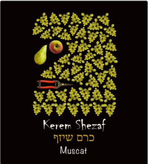 מוסקט