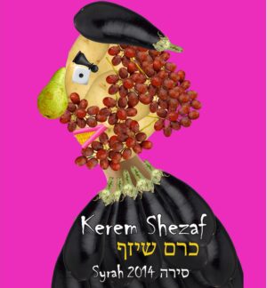 סירה