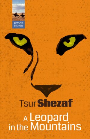 Leopard in The Mountains