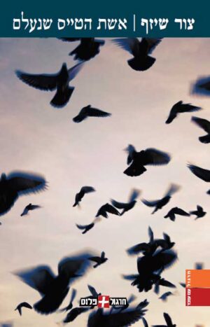 The Lost Pilot’s Wife