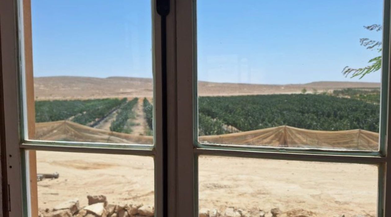 מבט אל הכרם