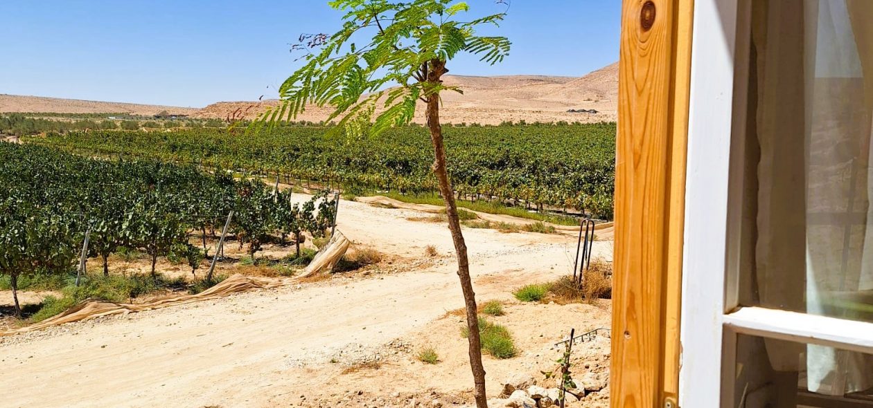 בקתת בוץ מהחלון