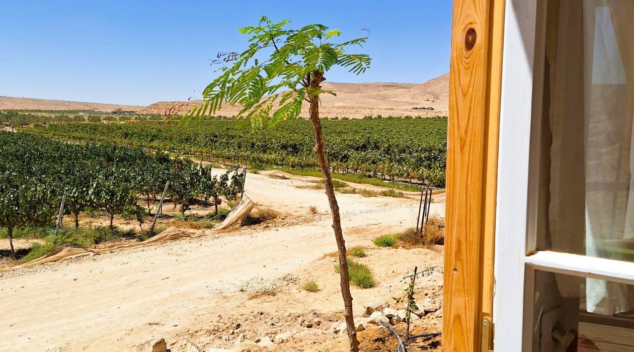 בקתת בוץ מהחלון