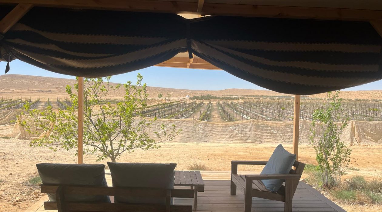 סוכה חוץ-20250405-WA0008