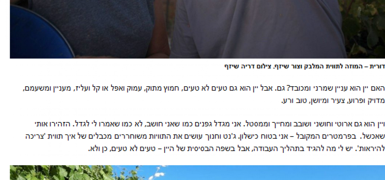 רני-רוגל-כתבה-תוויות-2