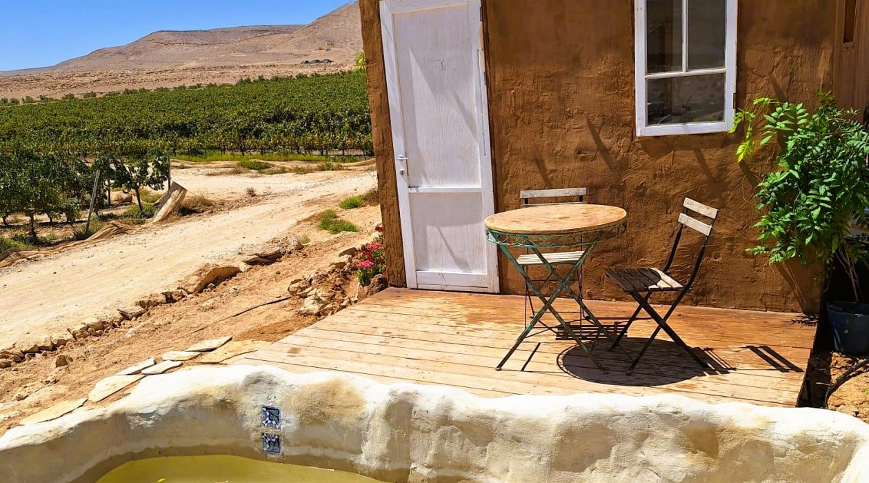 הבריכה של עוג