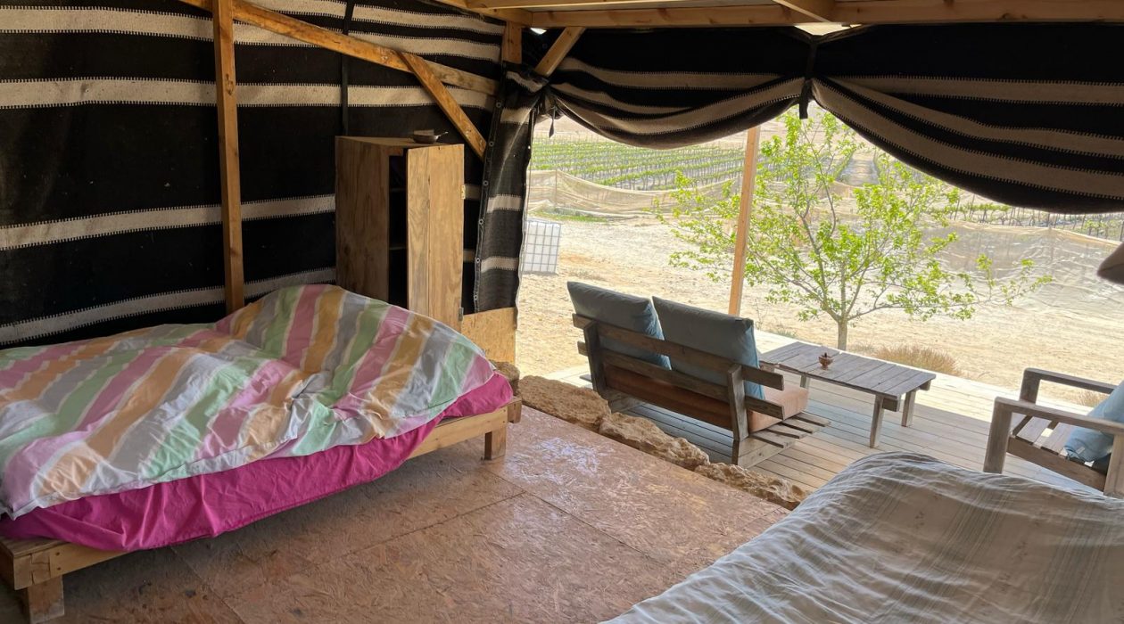 WhatsApp Image 2025-04-05 at 12.17.32_a436758d