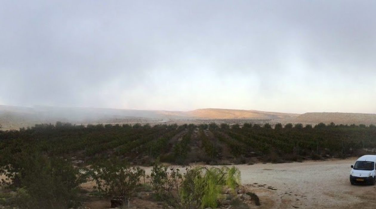 kerem shezaf panorama